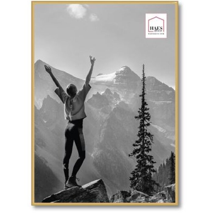 Plastový fotorámeček Haes Deco EF8G Easy Frame Gold 50x70 cm k montáži na zeď