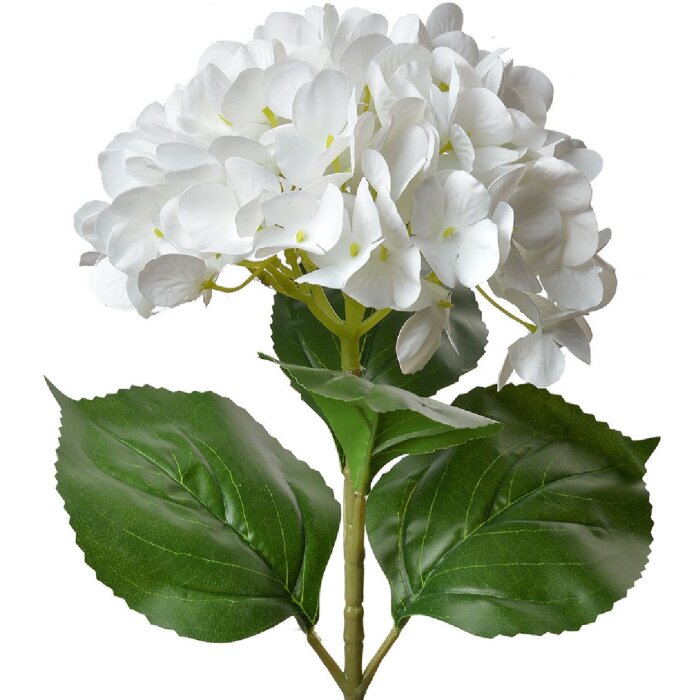 Clayre & Eef 5PL0137W Umělý květ bílý zelený 16x15x68 cm