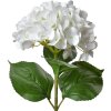 Clayre & Eef 5PL0137W Umělý květ bílý zelený 16x15x68 cm