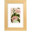 Goldbuch obrazový rám Rustiq přírodní 10x15 cm s paspartou 7x10 cm