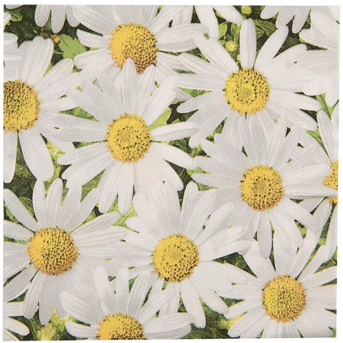 Clayre & Eef 73076 Papírové ubrousky sedmikrásky 33x33 cm 20 kusů