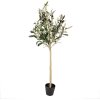 Clayre & Eef 5PL0149 Dekorativní stromek zelený 20x20x90 cm plastový
