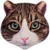 Clayre & Eef 6CE2065 Podložka pod pánev Cat Ceramic Brown 20x20 cm Country House