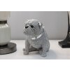 Mauro Ferretti Dekorativní figurka buldočka Sparky 17x11x14 cm stříbrná