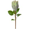 Clayre & Eef Umělé květiny 6PL0389GR Zelená 65 cm Protea Plastové