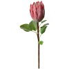 Clayre & Eef 6PL0389P Umělý květ růžová protea 65cm