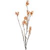 Clayre & Eef 5PL0184 Dekorativní větev oranžovo-hnědá 110 cm plastová