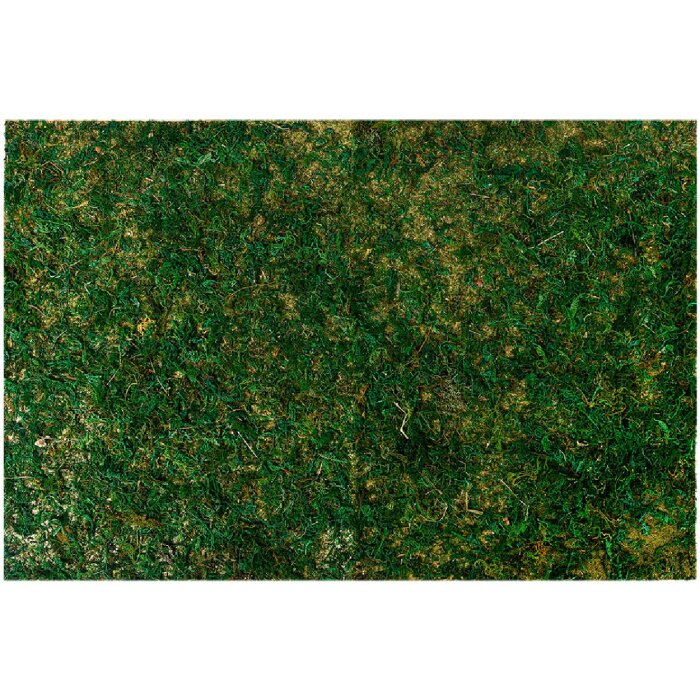 Clayre & Eef 66121 Mechová rohož 60x40x1 cm Svěží zelená plastová dekorace