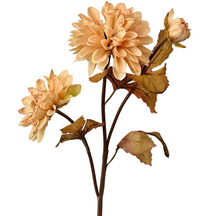 Clayre & Eef 6PL0387BE Umělé květiny béžová hnědá 10x10x66 cm