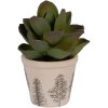Clayre & Eef 6CENPT0001XS Dekorační květináč Ø 8x7 cm béžová zelená