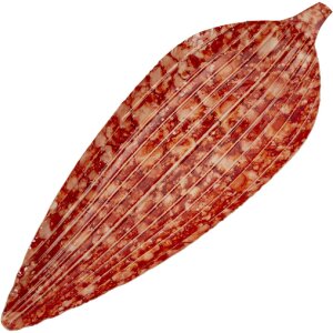 Mauro Ferretti Dekorační miska Tropfen červená 50x18x4 cm