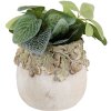 Clayre & Eef Květináč s reliéfem dubových listů Ø15x13 cm béžovo-zelený