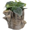 Clayre & Eef Květináč 6TE0577S – Hnědo-béžový 19x17x16 cm