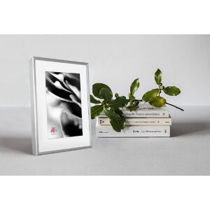 FramesFactory Hliníkový rámeček 15x21 cm stříbrný