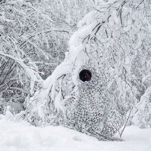 Buteo Photo Gear 3D listová maskovací síť Camo Sníh 1,5x3 m