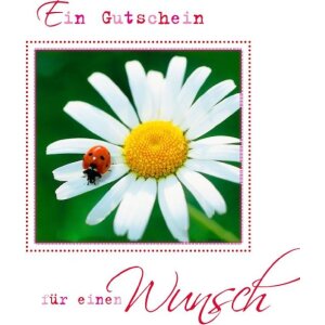 ARTEbene Gutscheinkarte Margarite