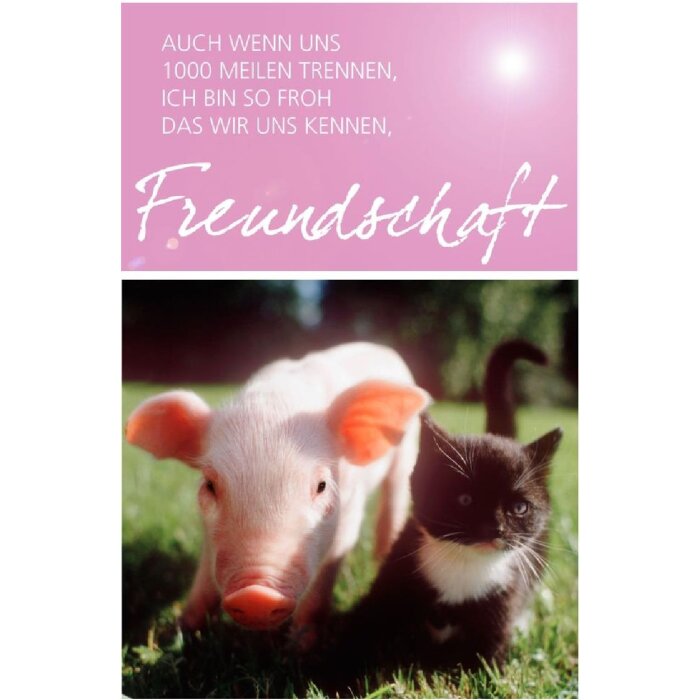 Artebene Karte Freundschaft Ferkel geprägt in Farbe Weiß Größe 16x22 cm