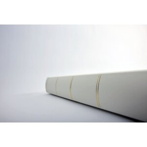 Walther slip-in album 300 fotografií 10x15 MONZA White Memo album s CD archivem