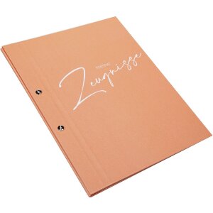 Goldbuch Mapa na diplom světlé pfrišicové tóny 24x31 cm s 12 transparentními obaly