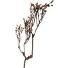 Clayre & Eef Větev dekorace v hnědých tónech, 30x4x85 cm