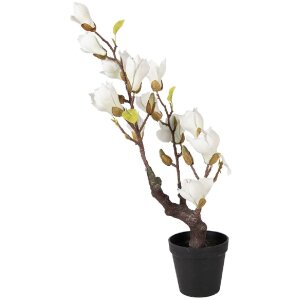 Clayre & Eef dekorativní magnolie strom 60 cm bílo-hnědá
