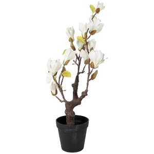 Clayre & Eef dekorativní magnolie strom 60 cm bílo-hnědá