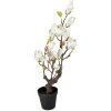 Clayre & Eef dekorativní magnolie strom 60 cm bílo-hnědá