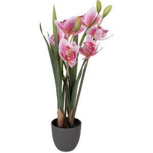 Clayre & Eef umělá rostlina Cattleya Hybrida růžově-zelená 55 cm