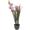 Clayre & Eef umělá rostlina Cattleya Hybrida růžově-zelená 55 cm