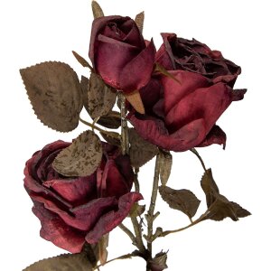 Clayre & Eef Větev s květy červeno-zelená 12x12x70 cm