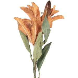 Clayre & Eef Větev s květy hnědo-zelená 12x16x88 cm