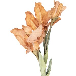 Clayre & Eef Větve s květy 10x18x85 cm, přírodní hnědá s zelenými listy