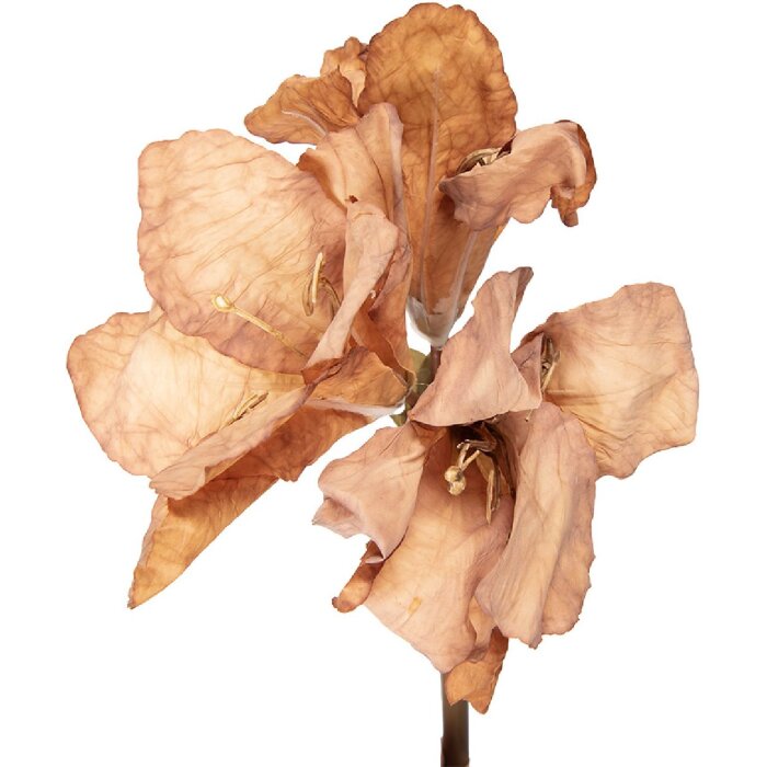 Clayre & Eef umělá květina hnědá 16x16x65 cm