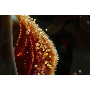 Mauro Ferretti Obraz na plátně ILLUMY s rámem 62x92 cm