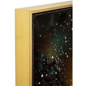 Mauro Ferretti Nástěnný obraz „Páv“ s rámečkem 70x100 cm