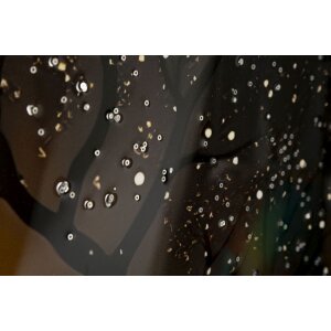 Mauro Ferretti Nástěnný obraz „Páv“ s rámečkem 70x100 cm