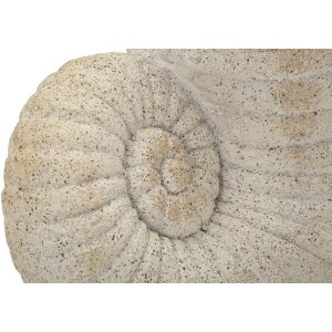 Mauro Ferretti Vaza Shell Sand béžová, mořský styl, 33x19x23 cm