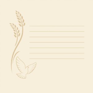 ZEP Fotoalbum Komunie 40 stran bílý 24x24...