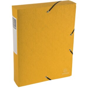 Archivbox Exabox Rücken 60mm mit Etikett aus Manila...