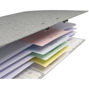 Exacompta Trennstreifen 105x240mm sortiert 100 Stück