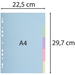 Exacompta Register A4 Recyclingkarton Forever 5-tlg 180 g/m² Bunt