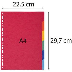 Exacompta 2006E Register Nature Future DIN A4 6 Taben Manila-Karton 220g