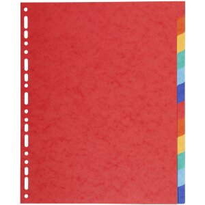 Exacompta 2112E Nature Future Register DIN A4 12 Taben...