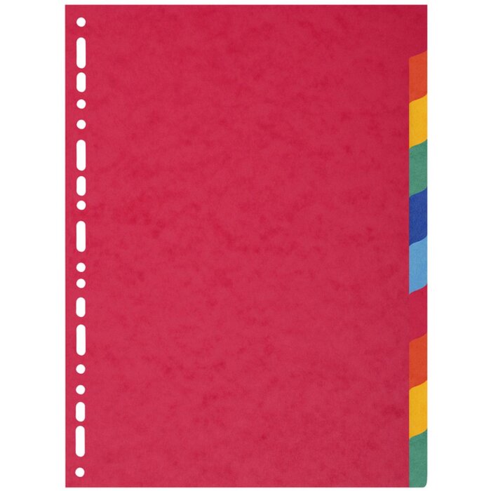 Exacompta Nature Future Register DIN A4 mit 10 Taben, beige, groß