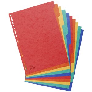 Nature Future Register DIN A4 mit 10 Taben