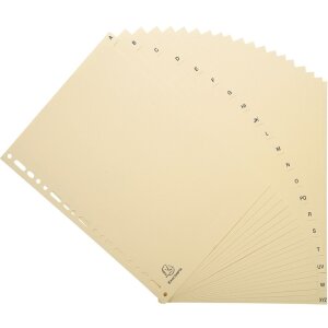 Exacompta Register DIN A4 mit 20 Taben