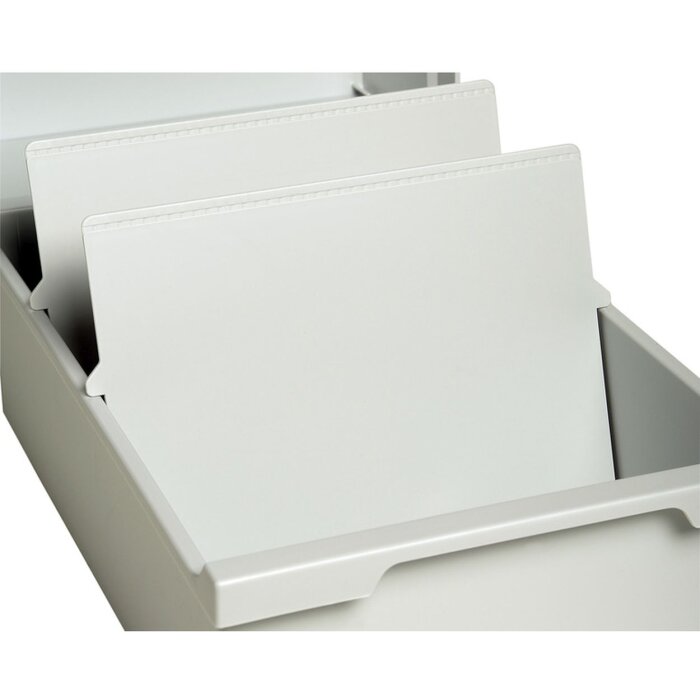 Exacompta Trennplatte DIN A6 quer Lichtgrau 2 Stück Polystyrol 147x4x112 mm