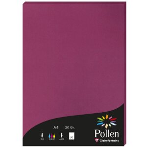 Clairefontaine 4206C Pollen Papier A4 120g 50 Blatt Himbeer