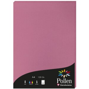 Papier Pollen DIN A4 120g Hortensienrosa 50 Blatt