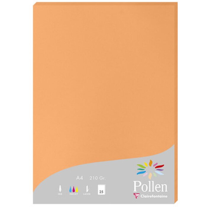Clairefontaine Papier A4 Pollen 210g Clementine 25 Blatt